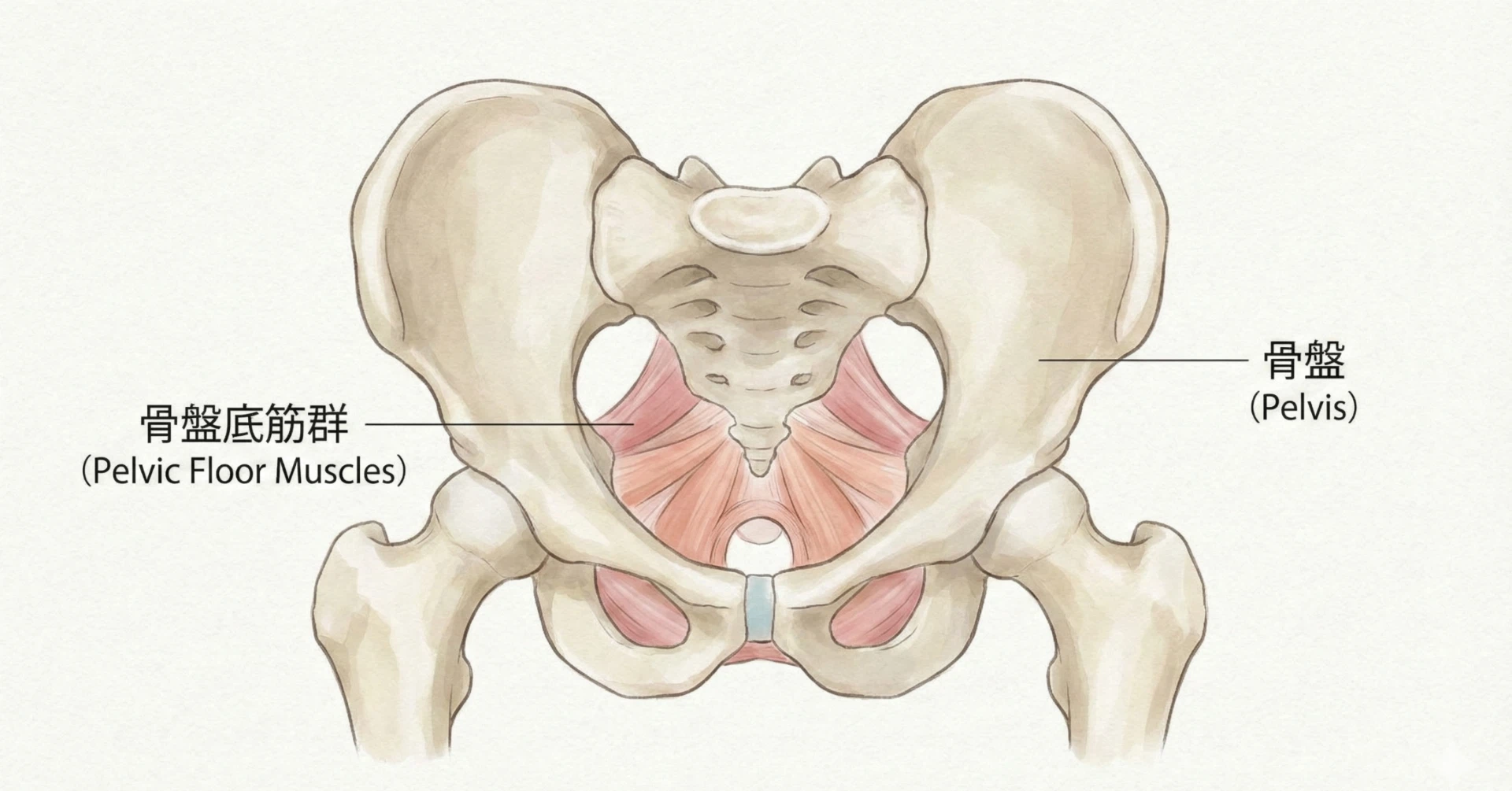 「結構、疲れてたんだなあ」——呼吸の通り道を塞いでいた、意外な場所。
