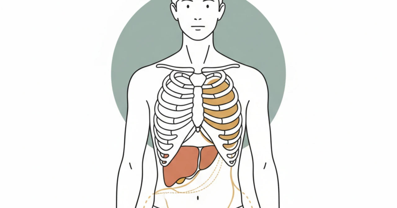 「腰がやばい」と感じたら、まず疑うのは「腰」ではなく「右側の肝臓」かもしれません。